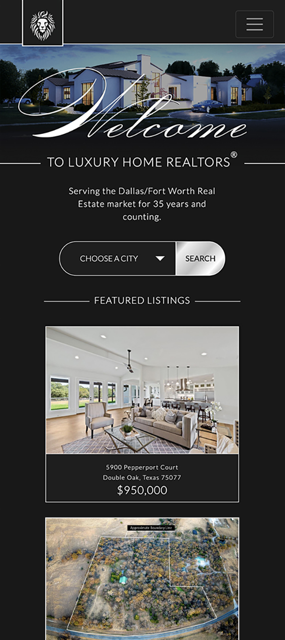 Mobile Website Preview